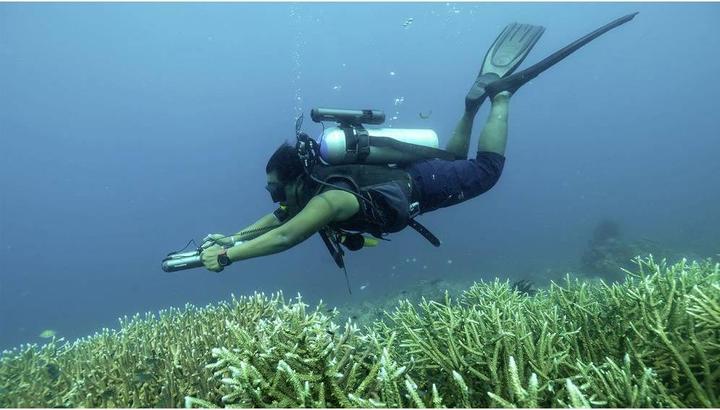 Actual product image Waydoo SUBNADO underwater scooter handle holder grey