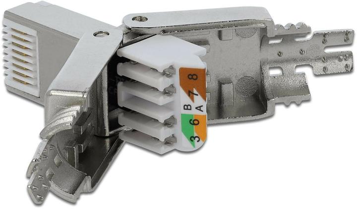 Image du produit Delock Fiche RJ45 Cat.6A (Câble réseau Connecteur)