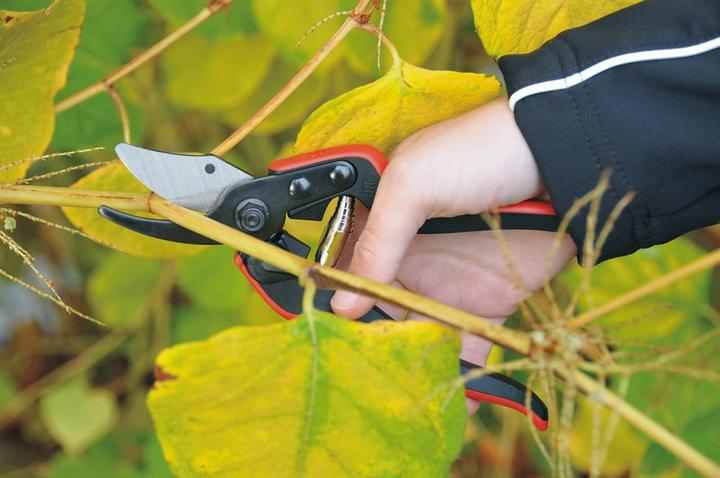 Actual product image Felco Gartenschere