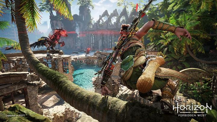 Actual product image Sony Horizon Forbidden West: Complete Edition (PS5, DE, FR, IT)