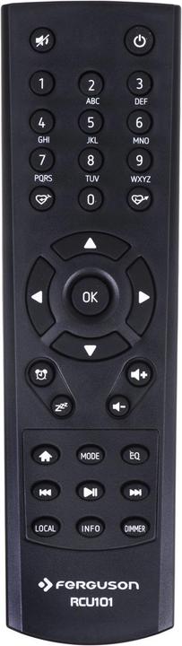 Produktbild Ferguson Regent i100 (DAB, DAB+, FM, Internetradio, Bluetooth, WLAN)