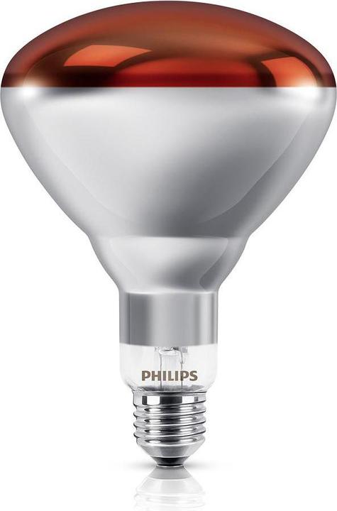 Actual product image Philips Infrared lamp (150 W)