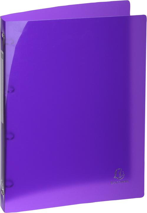 Actual product image Exacompta Folder (A4, 20 mm)