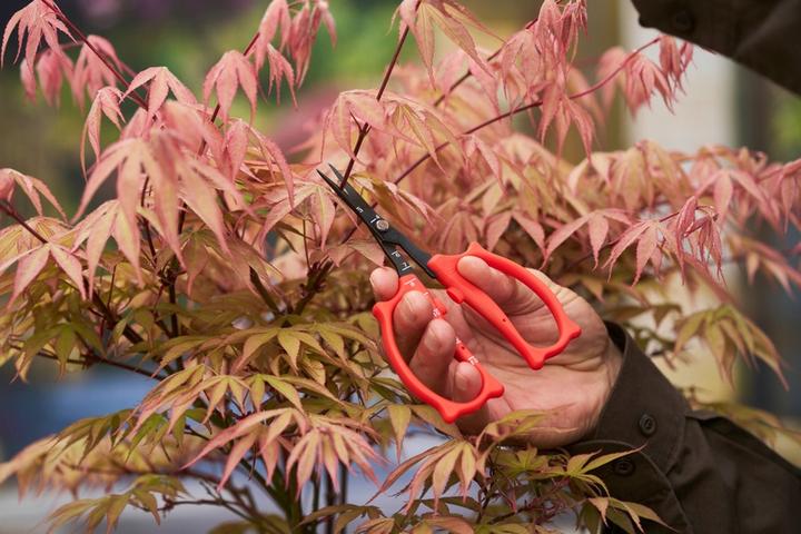 Produktbild Felco 420 Trimmschere