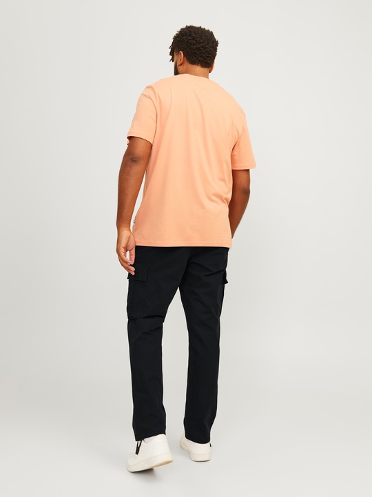 Produktbild Jack & Jones Jpstkane Jjbarkley Cargo Pant Noos Pls (46)