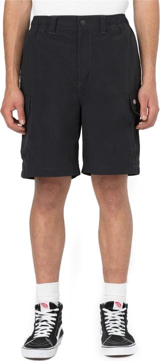 Actual product image Dickies Jackson Cargo Shorts (S, L)