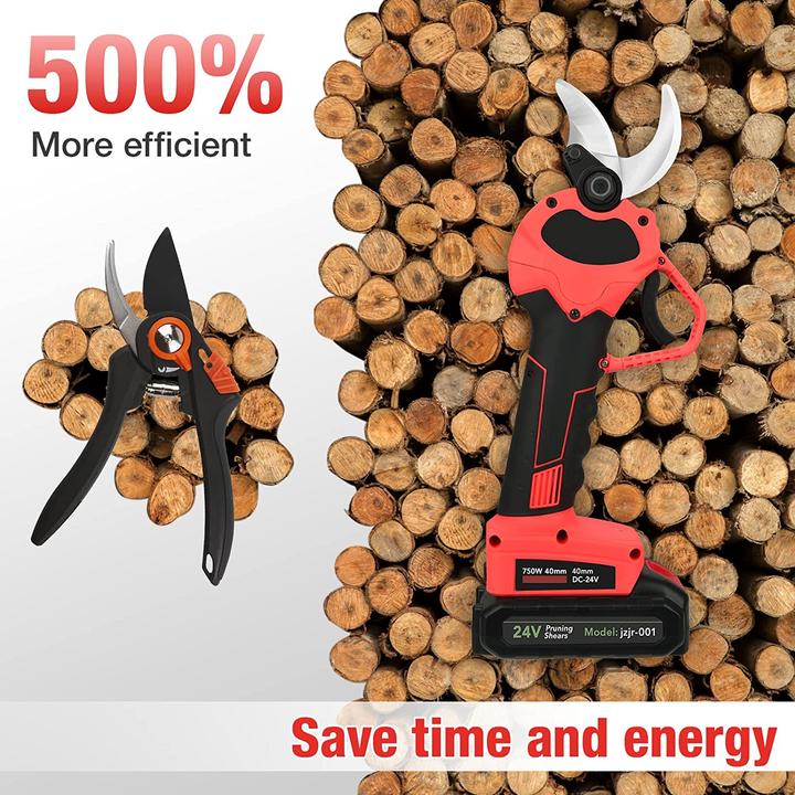 Actual product image Bilivry Battery pruning shears set with 2 batteries