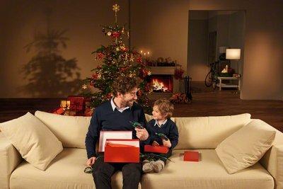 Image du produit Bosch Home & Garden Ixo