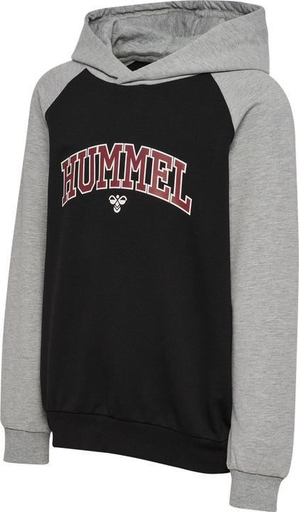 Produktbild hummel Hmlessen Hoodie (146)