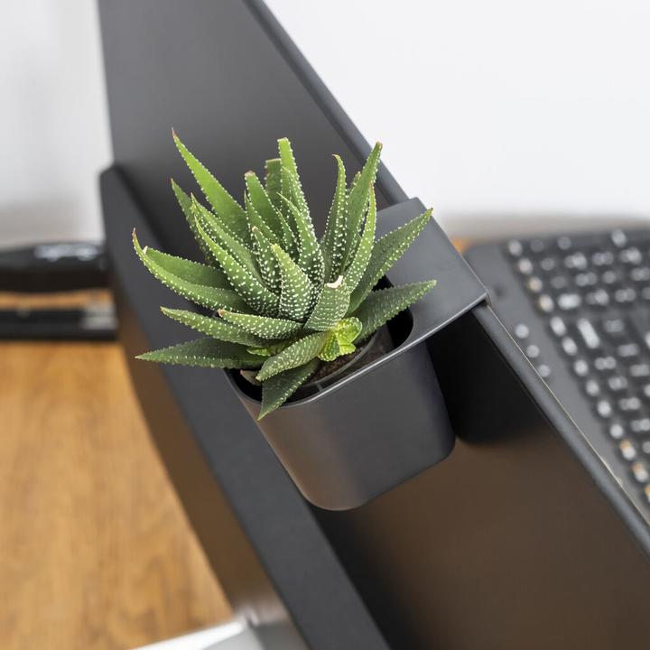 Image du produit Kikkerland Tidy Pots