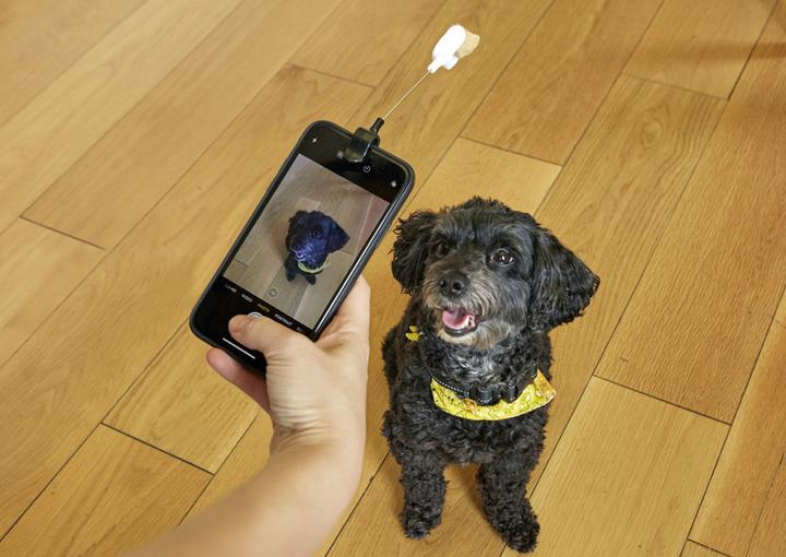 Actual product image Kikkerland Dog Treat Selfie Clip (Upbringing)