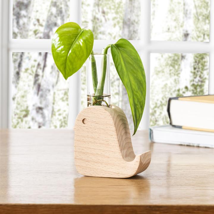 Image du produit Kikkerland Bird Propagation Vase (1 x)