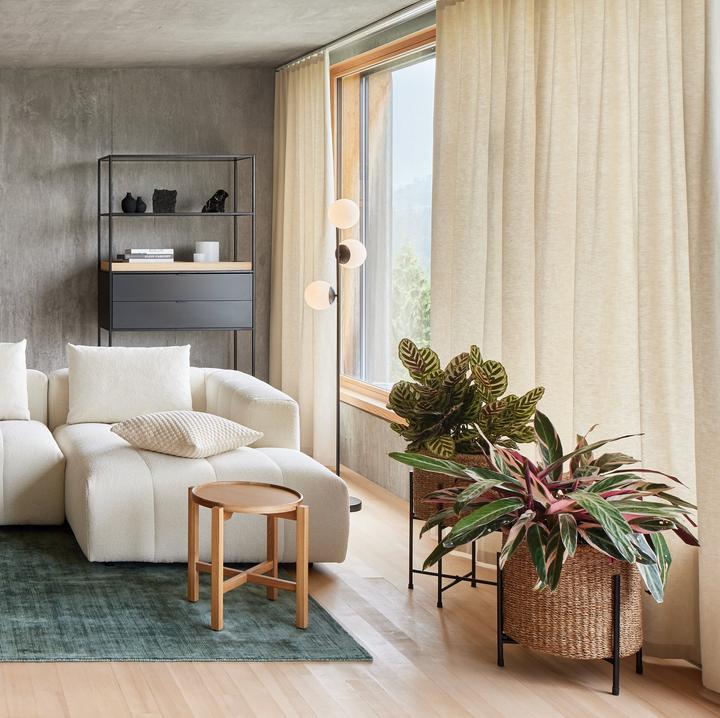 Produktbild micasa Morena (150 x 270 cm)