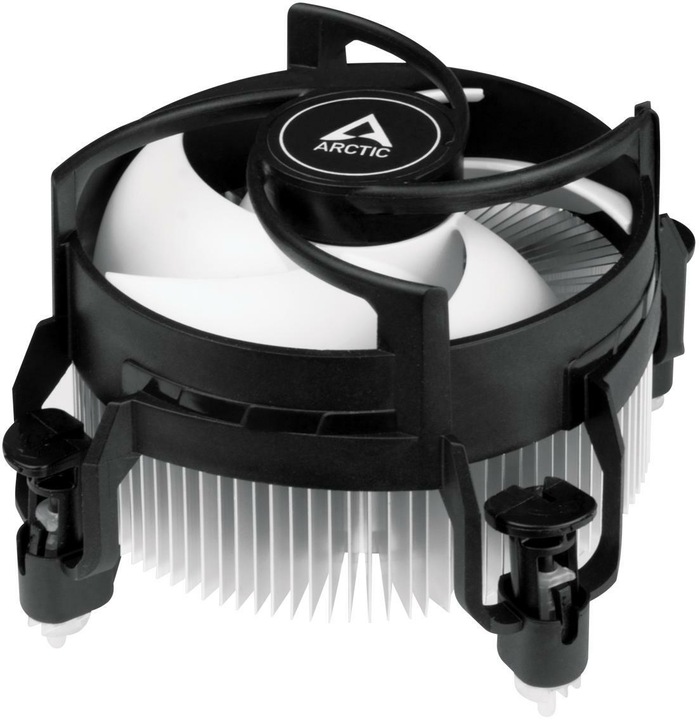 Arctic Alpine 17 (77 mm)