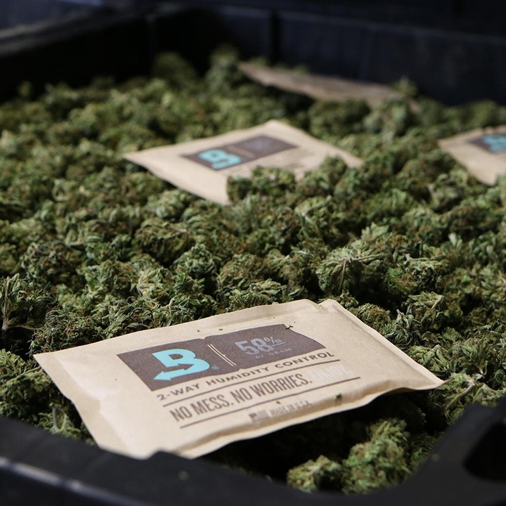 Actual product image Boveda Humidipak (450)