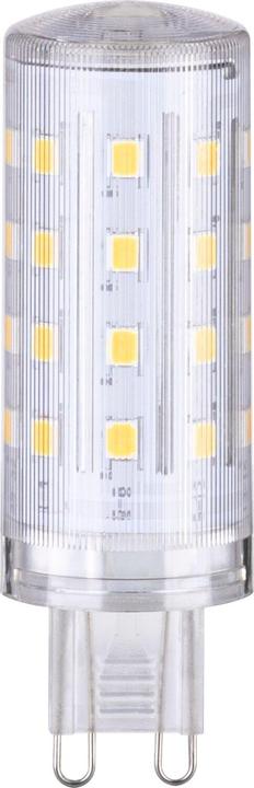 Leuchtmittel