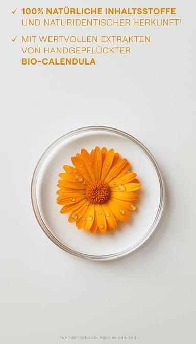 Actual product image Weleda Wound protection cream