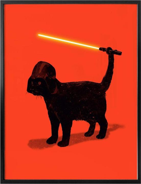 Image du produit Trenddeko Cat Vader (50 x 60 cm)