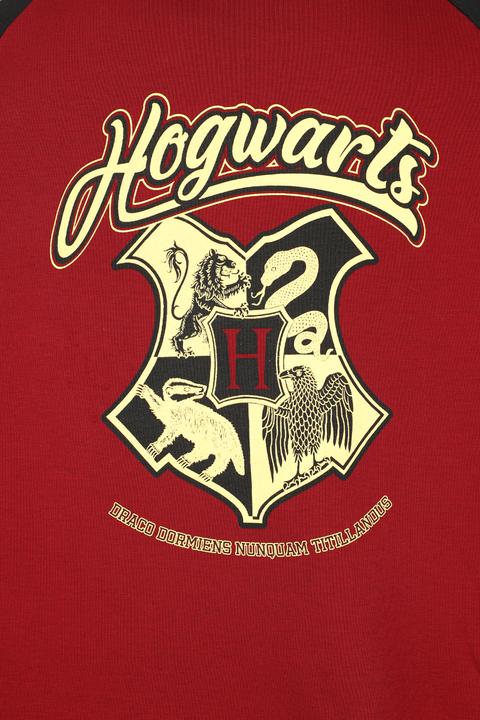 Produktbild Gryffindor (XXL)