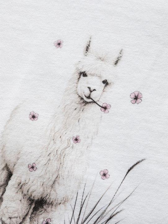 Actual product image Chillaz Women's Leoben Alpaca Meadow T-Shirt (32, XXS)