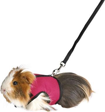 Produktbild Trixie Softgeschirr Meerschweinchen (23, 24, 25, Kleintier, Hundesport)