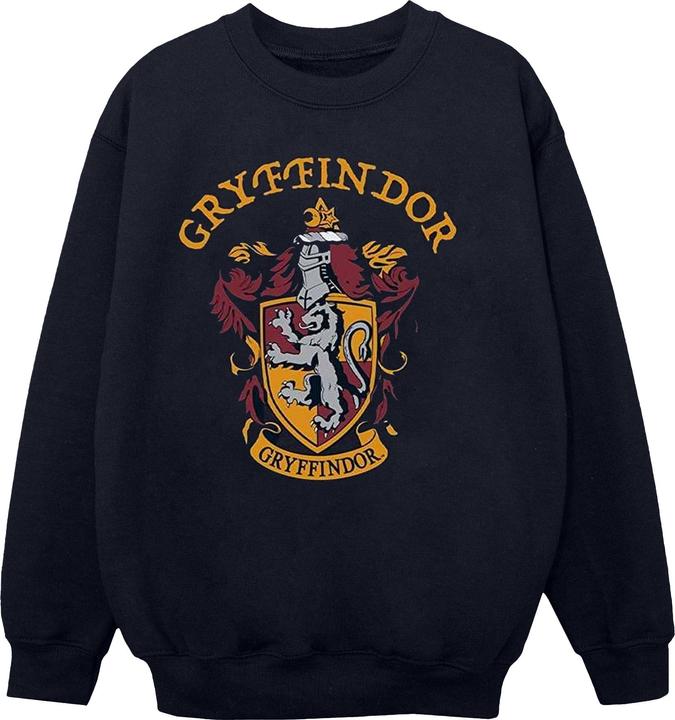 Immagine prodotto Felpa in cotone da ragazzo Grifondoro (128)