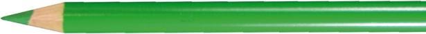 Produktbild Faber-Castell Farbstift Polychromos laubgrün 112 (Laubgrün, 1 x)