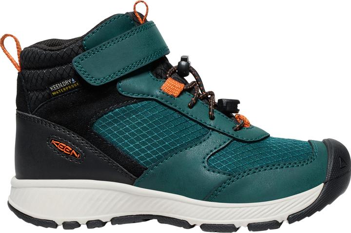 Gold Flame, Ponderosa Pine