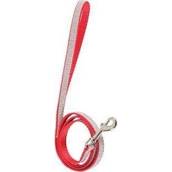 Zolux SHINY nylon leash, red (Hund, Allgemein), Halsband + Leine