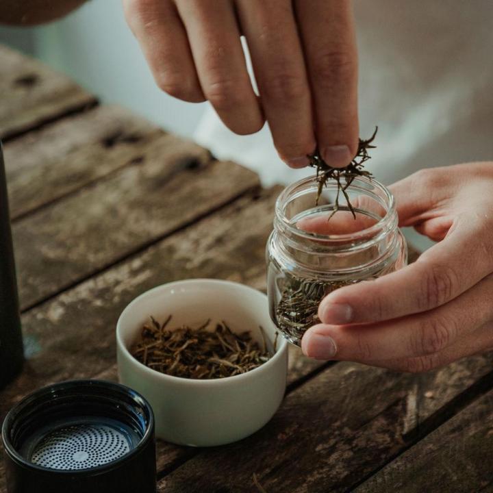 Actual product image Paper & Tea Nomad (0.30 l)