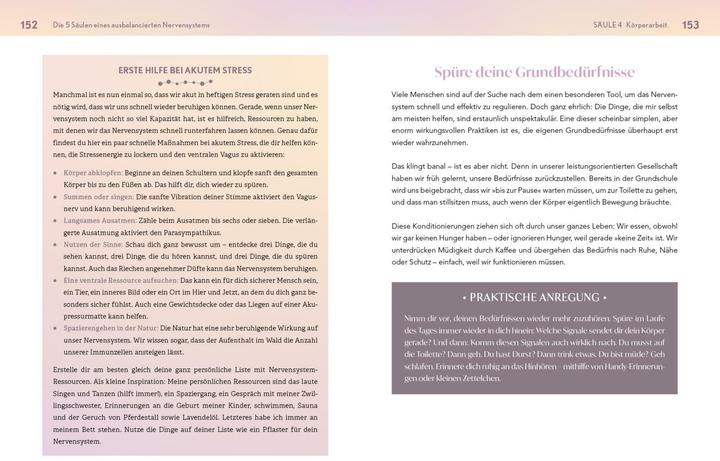 Actual product image Neustart fürs Nervensystem (German, Jessica Klebe, 2025)