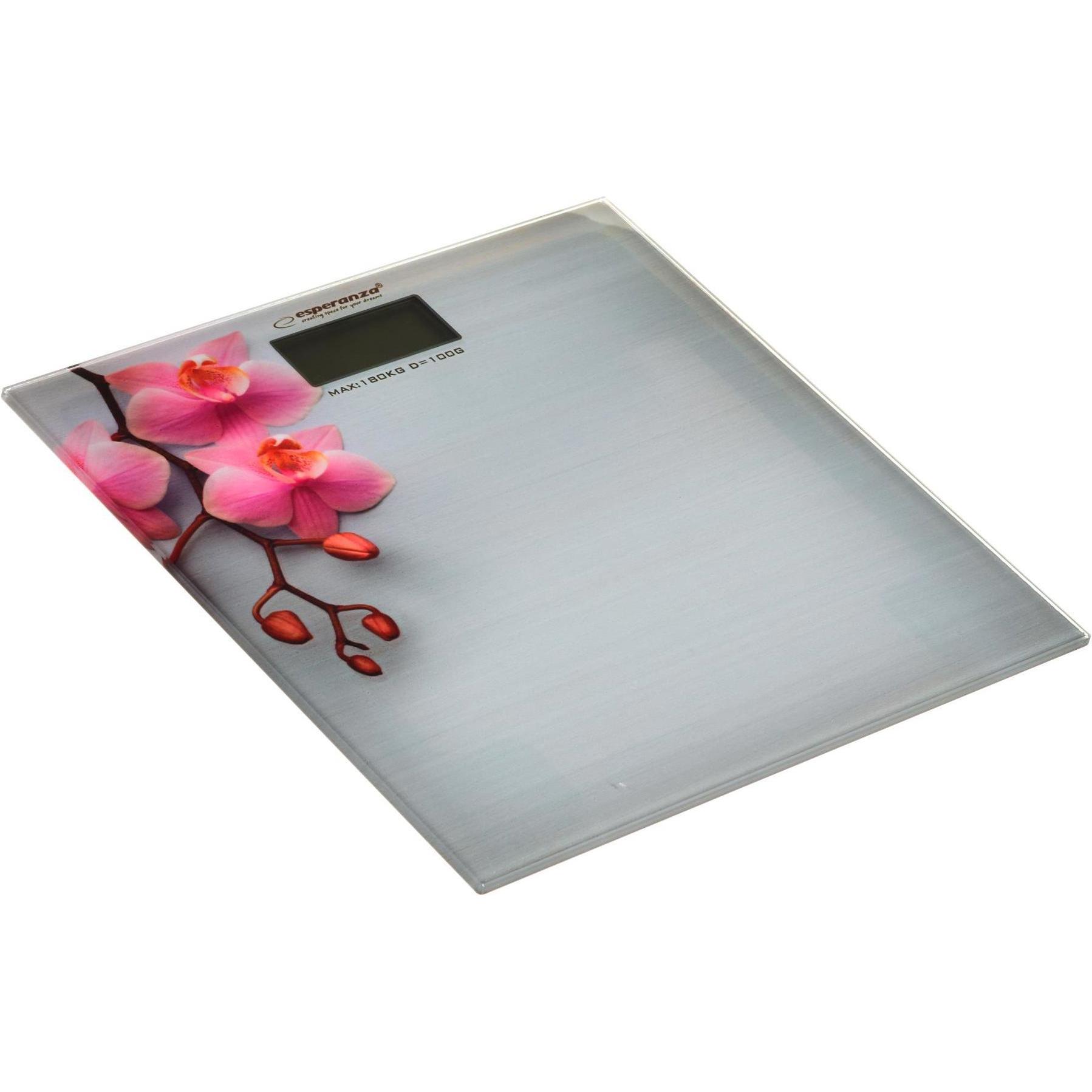 Esperanza, Personenwaage, Weighing scale bathroom Orchid EBS010 (pilka color) (180 kg)