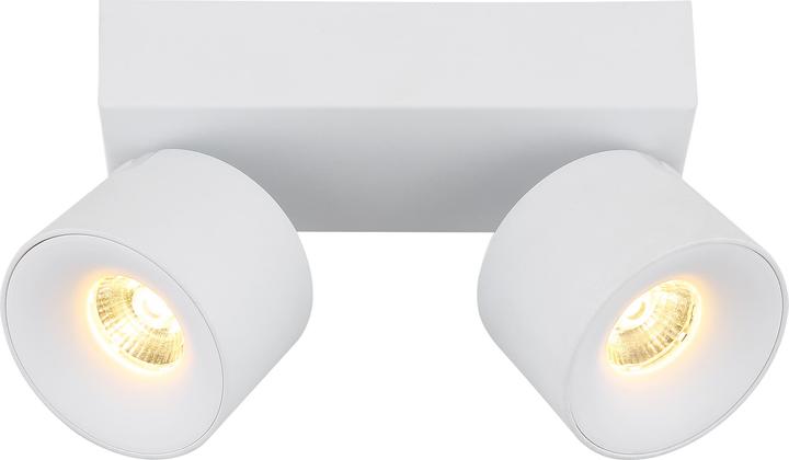 Actual product image Globo Rae