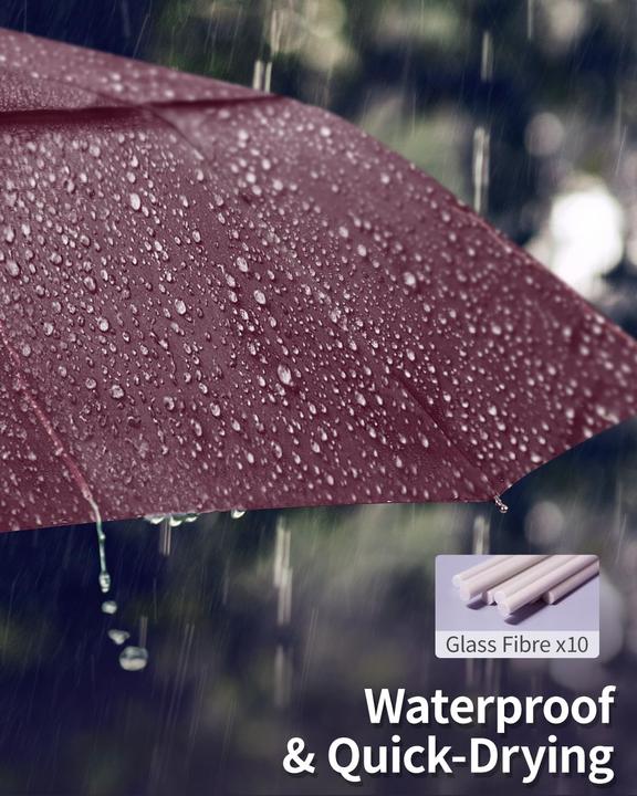 Image du produit Alopini Automatischer grosser sturmsicherer Regenschirm, Taschenschirm mit belüftetem Doppeldach und