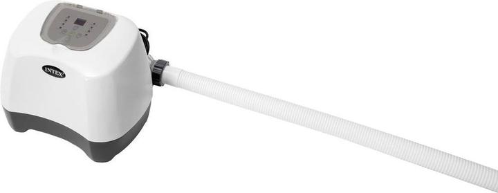 Actual product image Intex Krystal Clear QZ1100