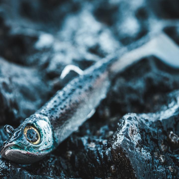 Immagine prodotto Caperlan Piuma di gomma Texas Shad Ancho 120 Shad (12 cm)