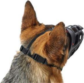 Actual product image Hunter Albury - Muzzle - 4 (Dog)