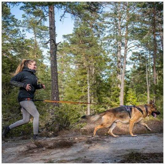 Produktbild Non-Stop Dogwear Rock Harness M (M, Hund, Allgemein)