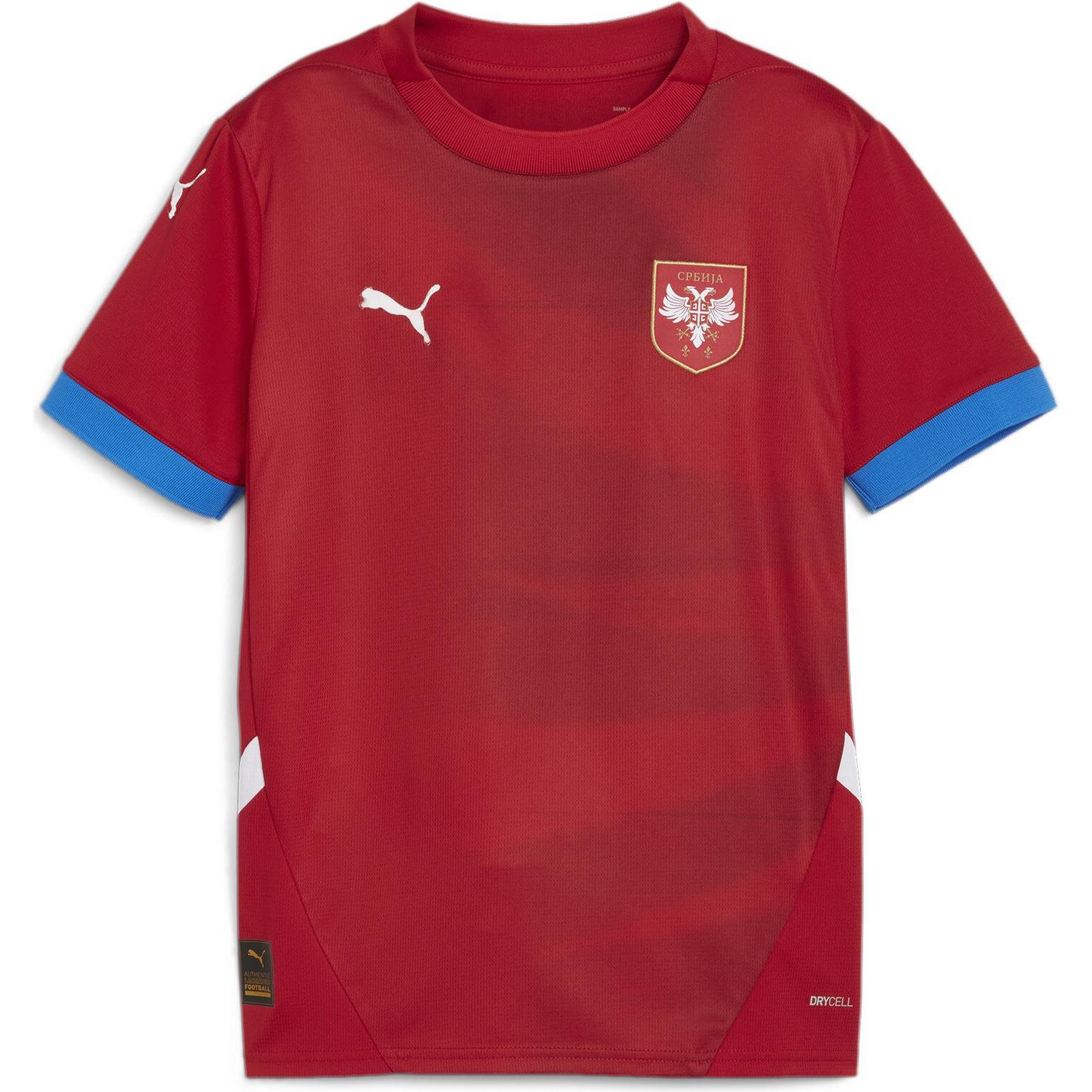Puma, Jungen, Fussballtrikot, FSS Home Jersey Replica Jr (152), Rot, 152