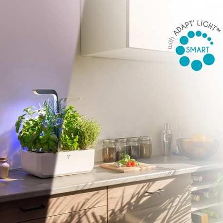 Thumbnail - Véritable, Blumentopf, VERITABLE CONNECT Indoor Garten gold inkl 4 Packs (33 cm)