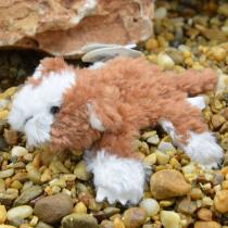 Image du produit Kögler Pillitaps cochon d'Inde sari, 8cm (8 cm)