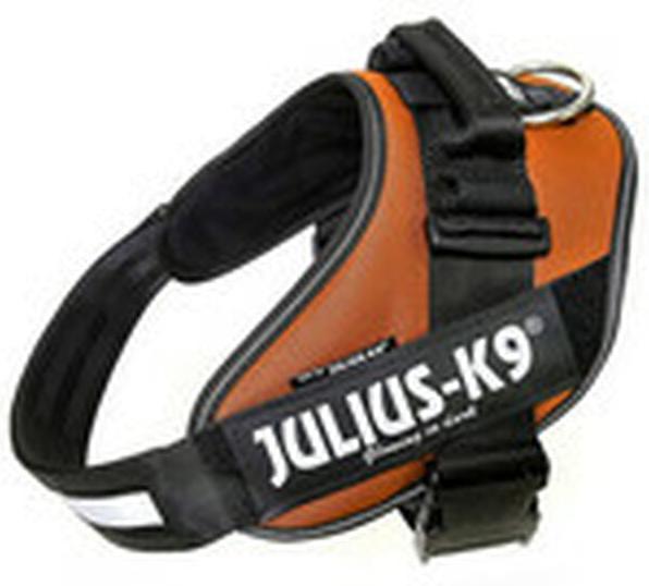 Actual product image Julius-K9 IDC Power harness 3/XL (3, Dog, General)