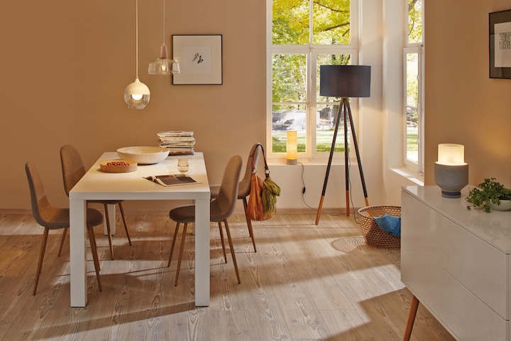 Image du produit Paulmann Lampe à usage général (E27, 13 W, 1521 lm, 1 x, E)