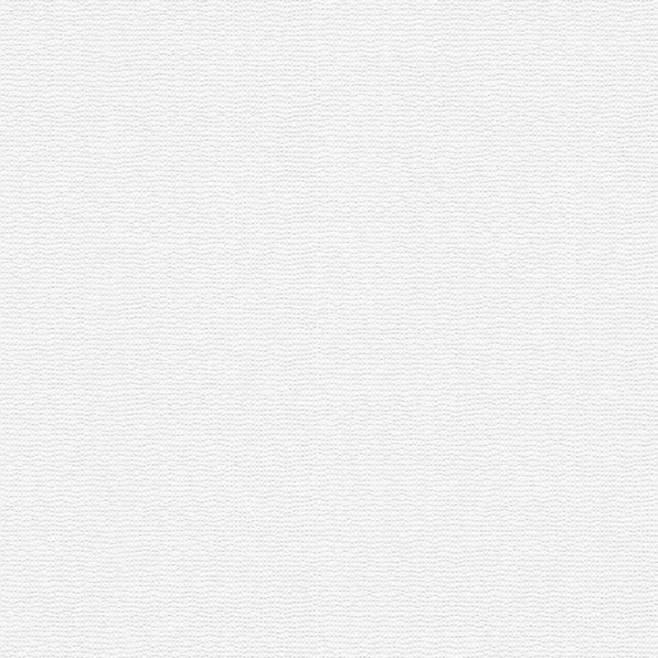 Immagine prodotto Architects Paper Pigmento ECO Bianco, verniciabile 5 (53 x 1005 cm)