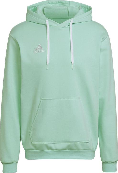 Actual product image adidas Vyriška sweatshirt Entrada 22 Hoody mint HC5081 (S) (S)