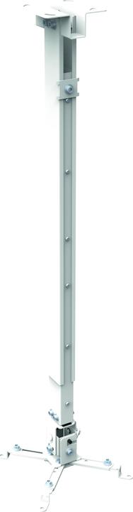 Reflecta Deckenhalterung Tapa (Decke)