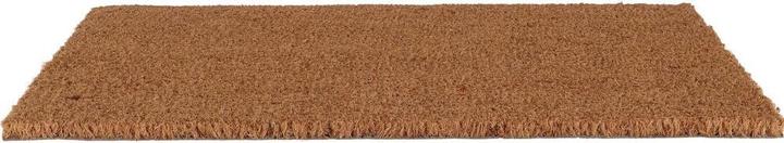 Actual product image Esschert Design Kokos (60 x 40 cm)