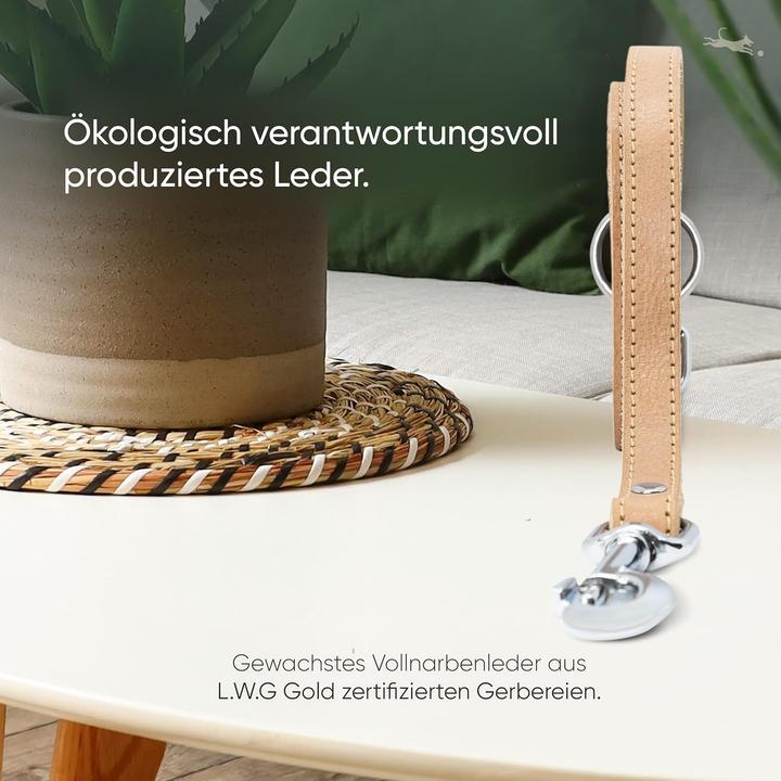 Immagine prodotto Freudentier Amstelpark Kollektion - Hundeleine, 3-fach verstellbar, 2m (Cane)