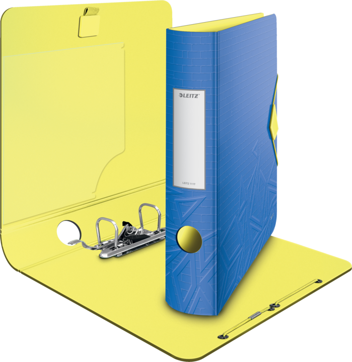 Actual product image Leitz Lever Arch File Active Urban Chic narrow (A4, 65 mm, 1 x)
