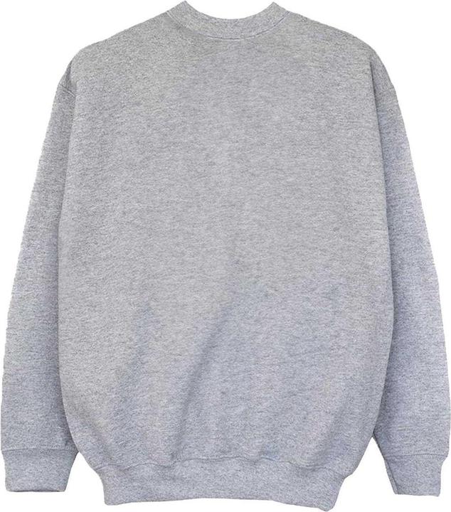 Image du produit Blue Beetle - Sweat motif/style logo - Femme (M)